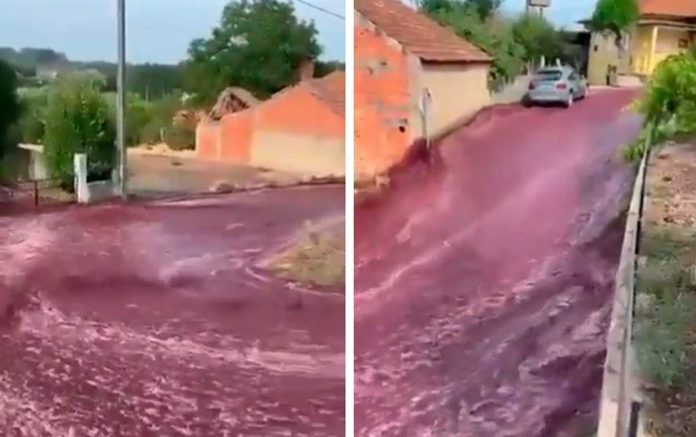 Portugal : les rues d'un village inondÃ©es de vin rouge